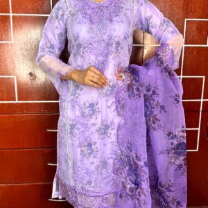 Pakistani Sadabahar inspired Party Wear Code: 223